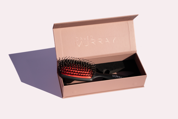 The Daily Brush