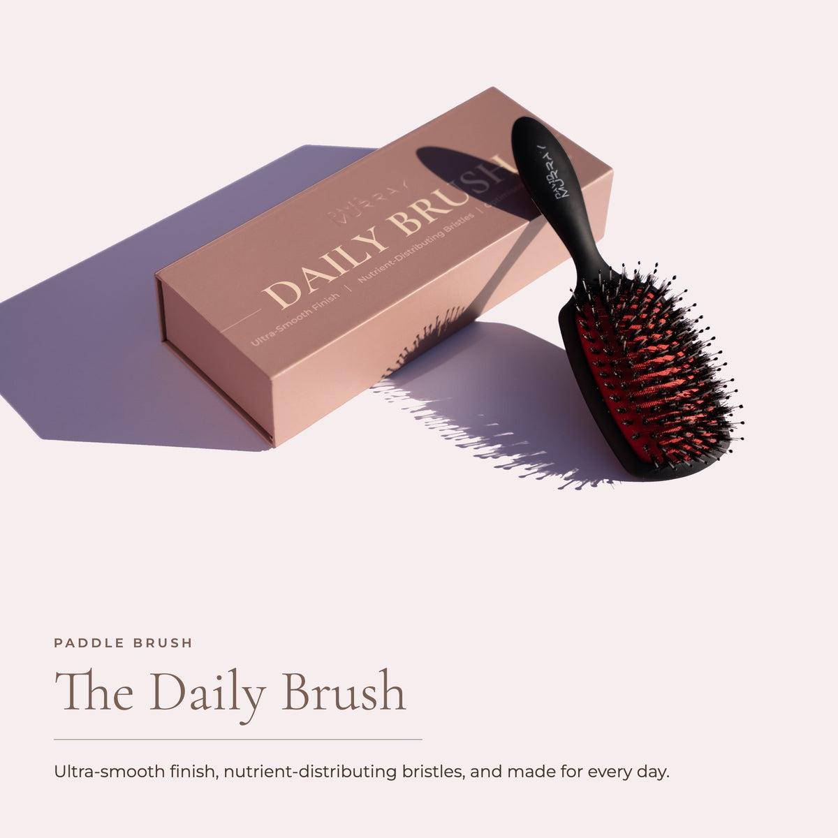 The Daily Brush